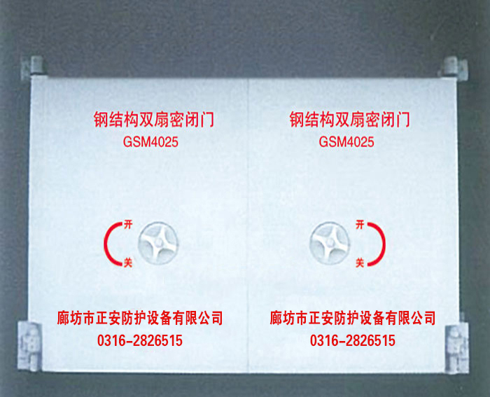 钢结构双扇防护密闭门